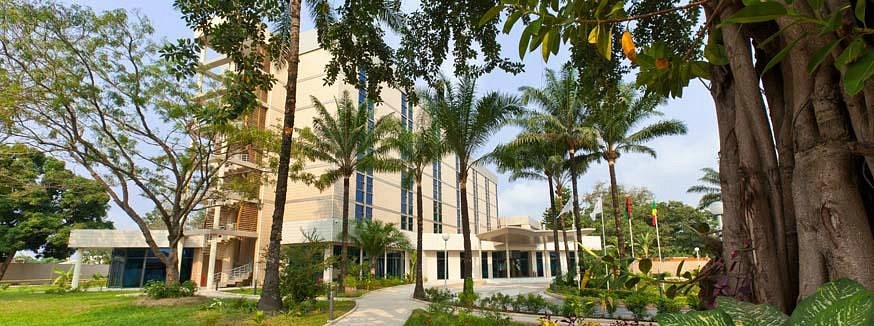 Ledger Plaza Maya Maya